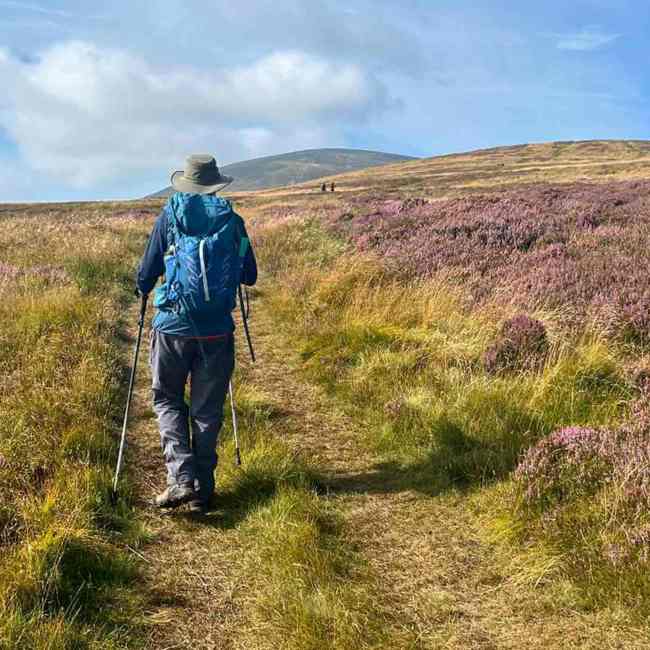 Wooler Walks