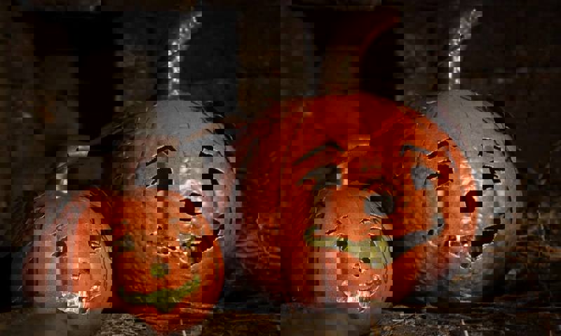 halloween-woodhorn