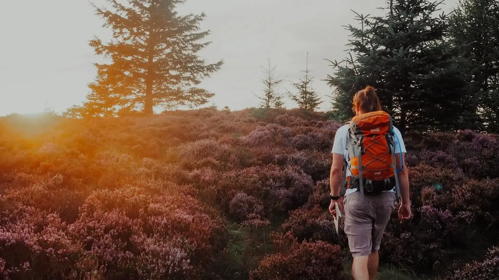 Visitor Guide 2025 1