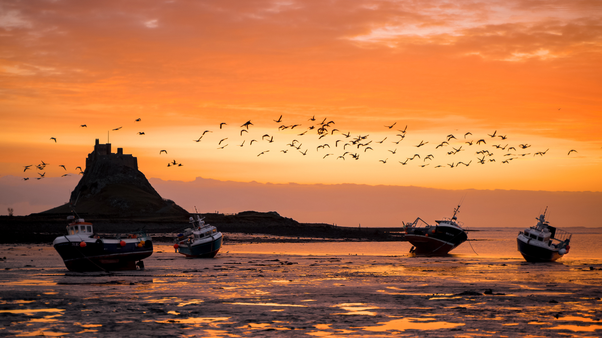 Credit Jim Scott (2)