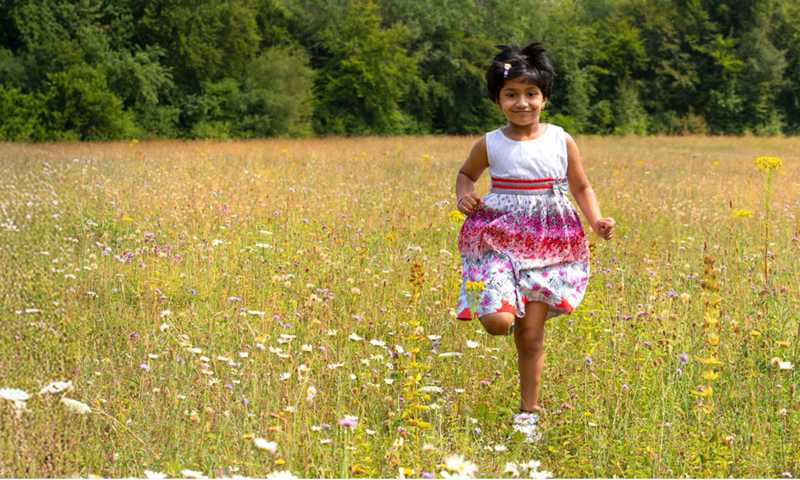 Meadow Mayhem