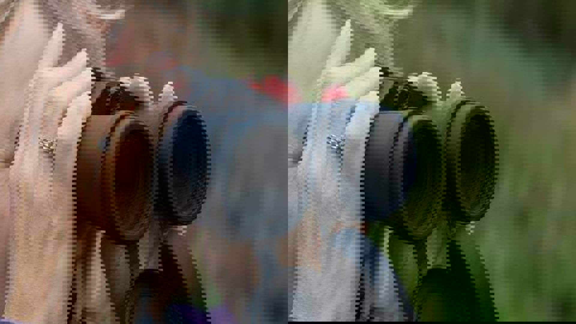 birdwatching-matthew-roberts