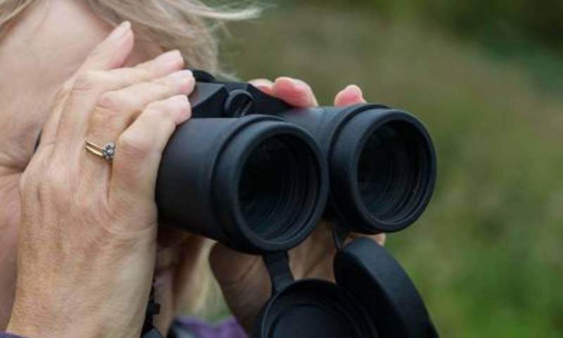 birdwatching-matthew-roberts