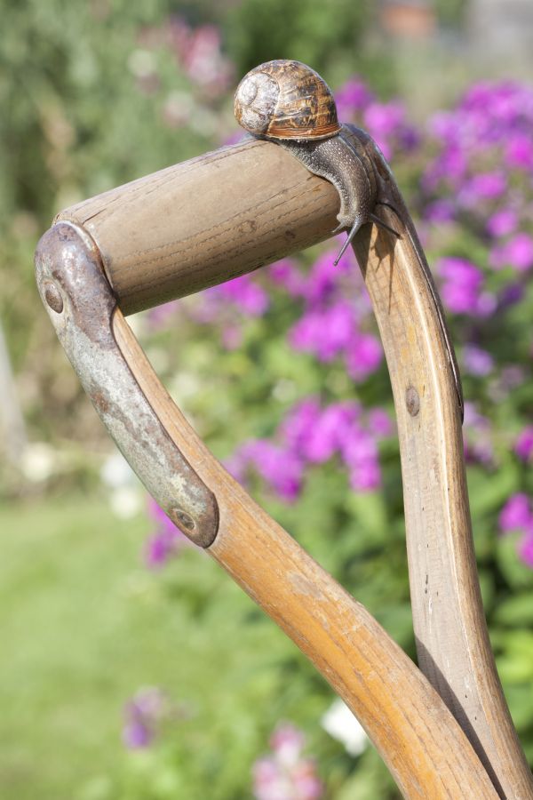 30 Days Wild connect people with natural beauty