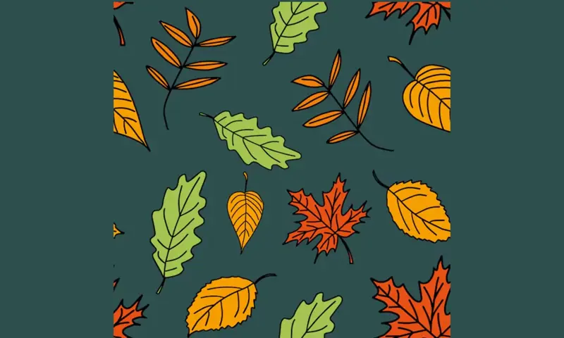 Autumn Leaves