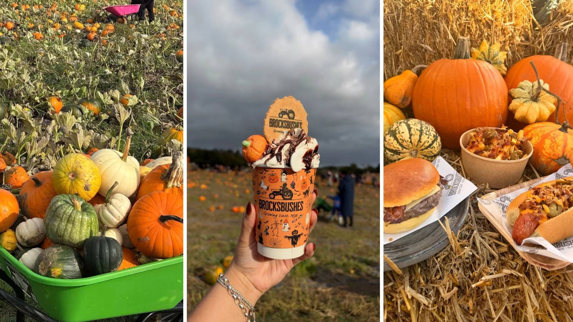 Brocksbushes Pumkin Smash