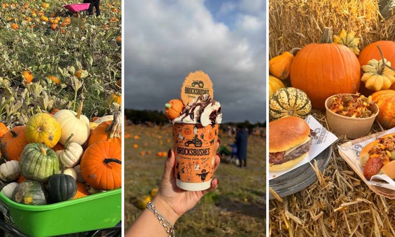 Brocksbushes Pumkin Smash