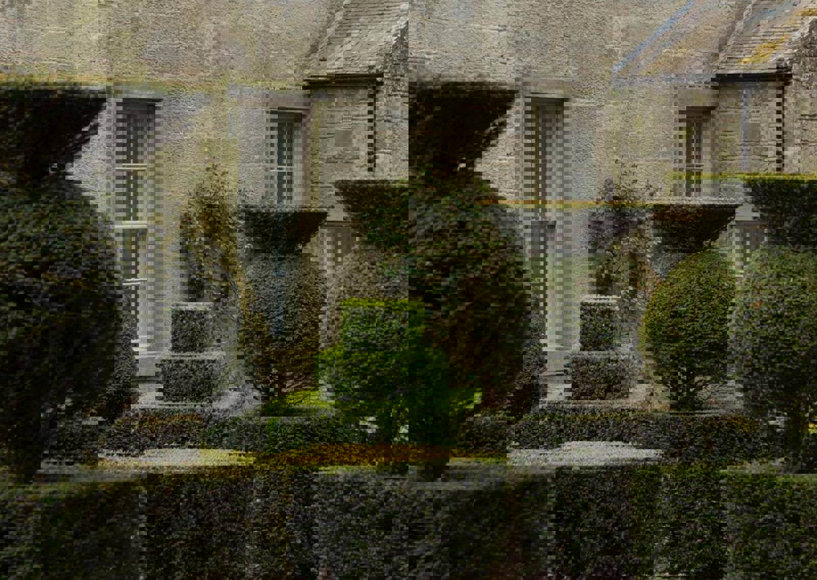 Hedges