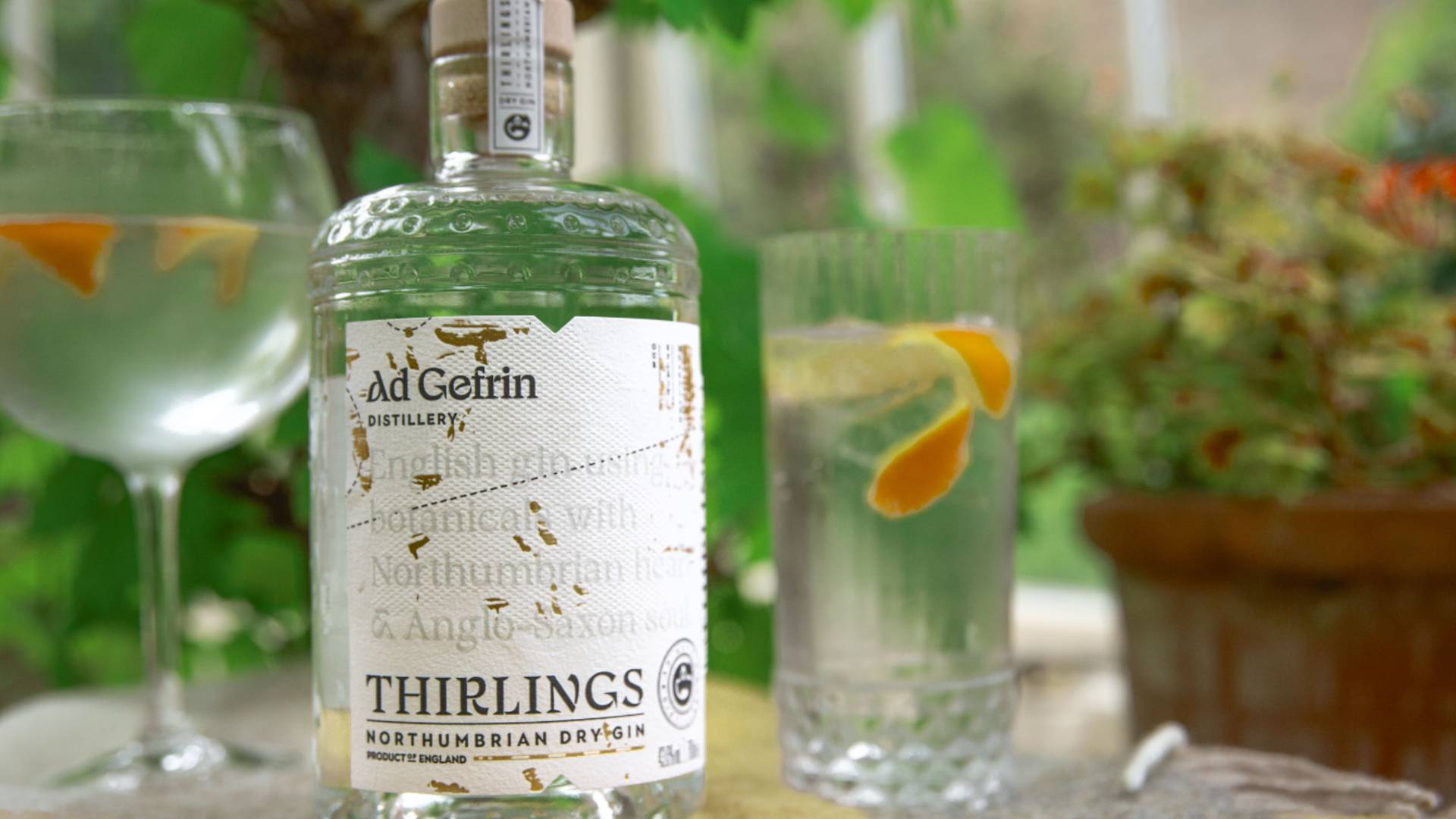 Introduction To Gin Event