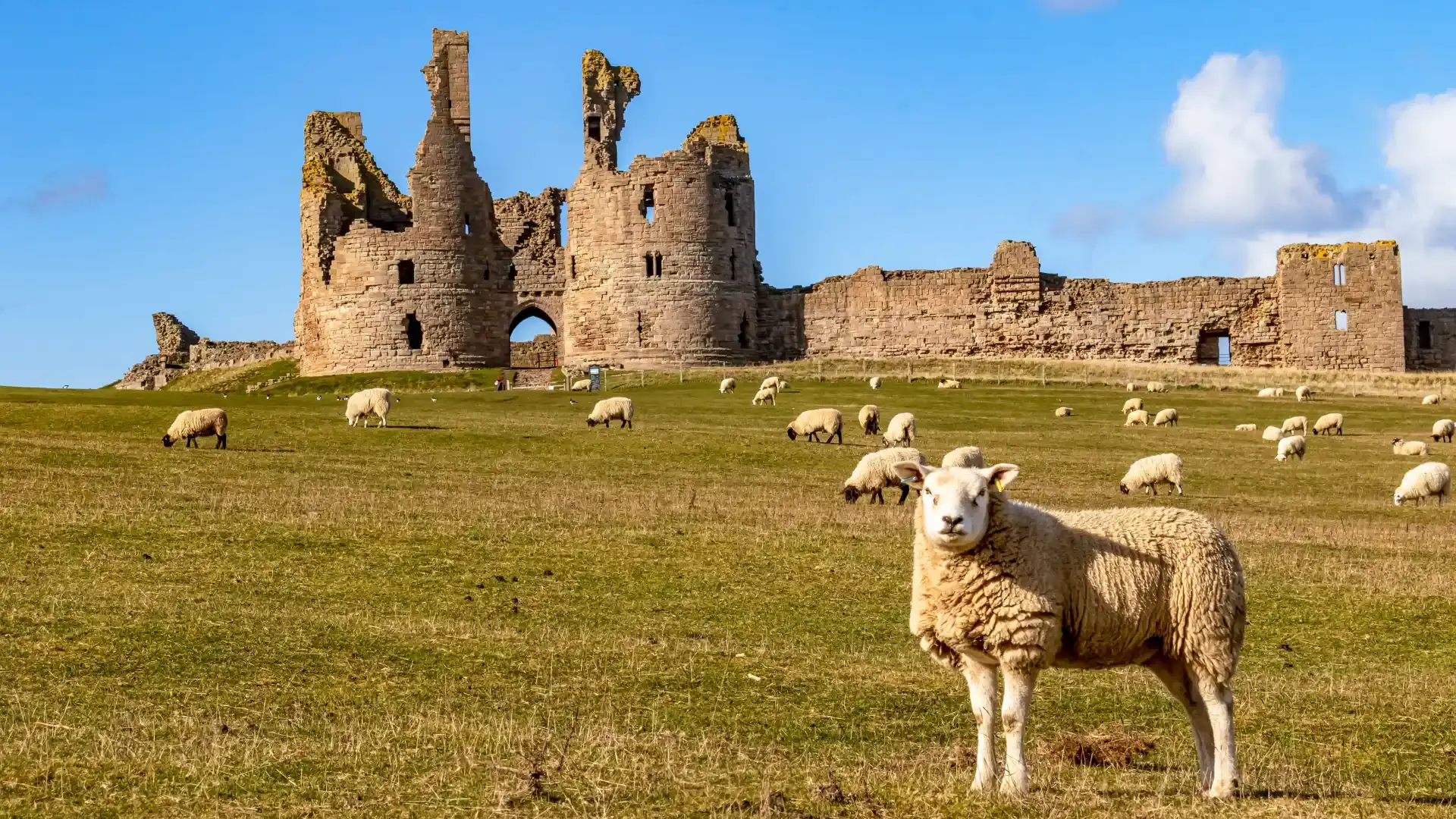 Dunstanburgh Castle