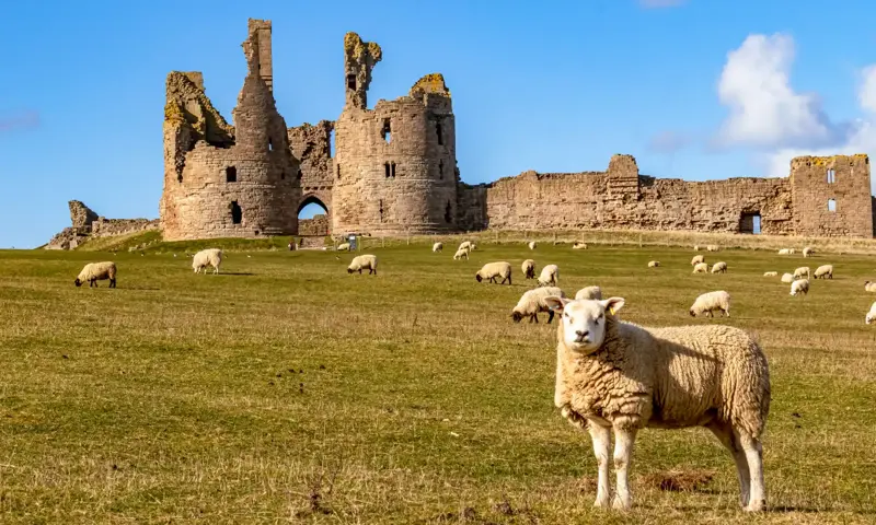 Dunstanburgh Castle