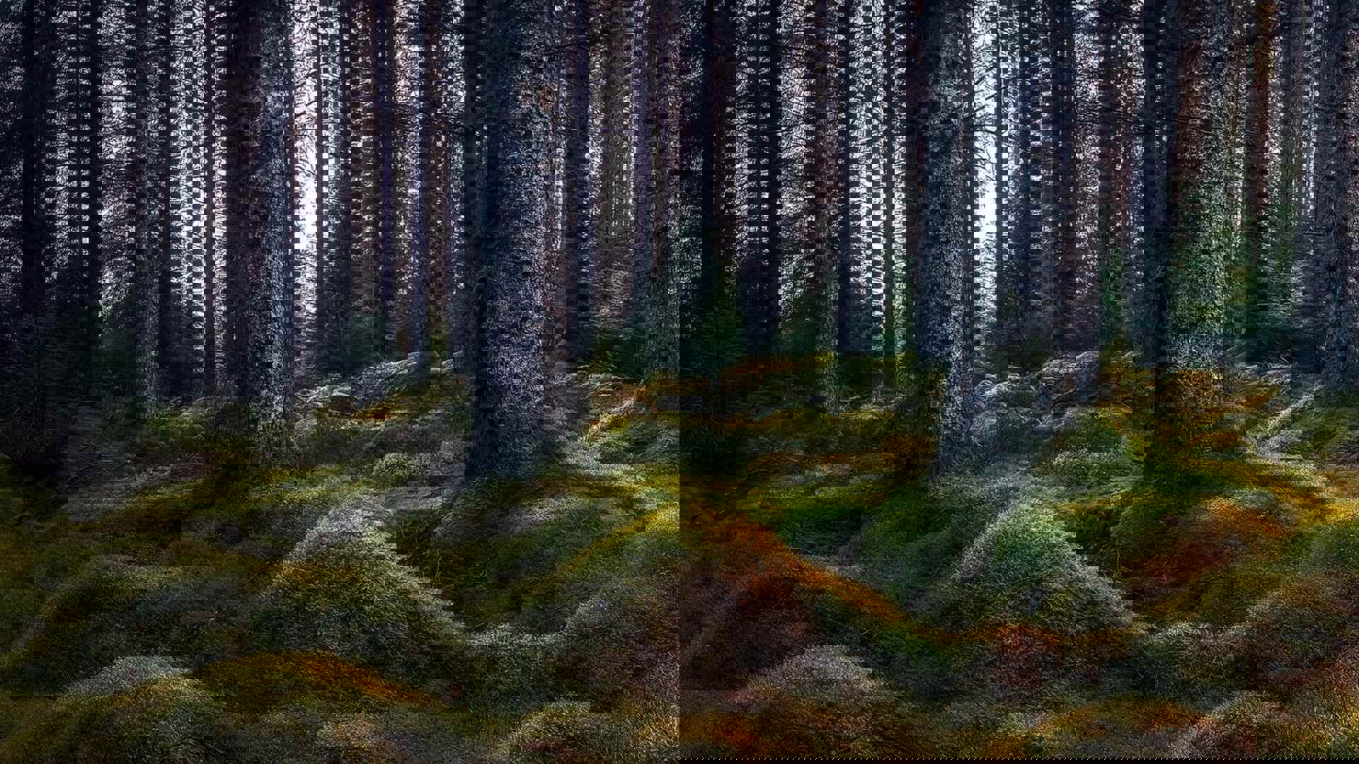 28-years-later_credit_brian