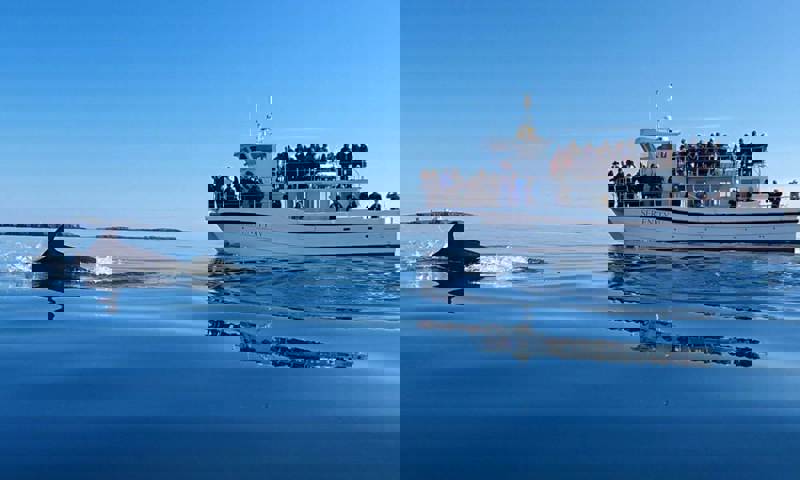 serenity-2024