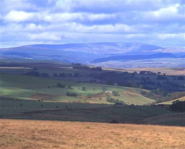 Five star rating for Northumberland National Park Authority website