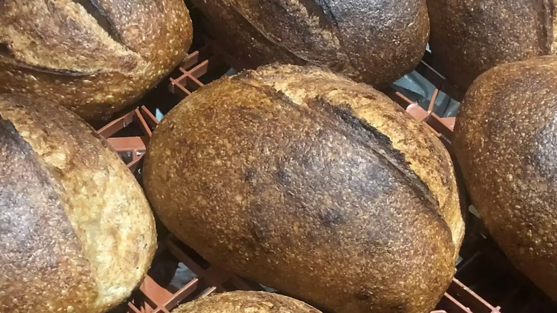 Garden Room Bakery