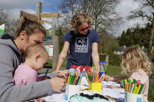 Getting Wild At Kielder