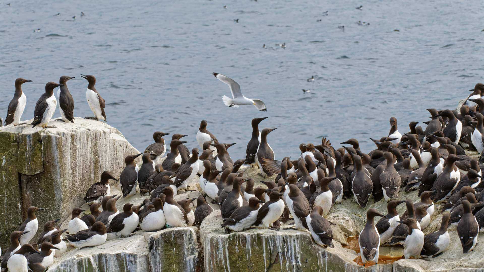 © NT Images & Nick Upton