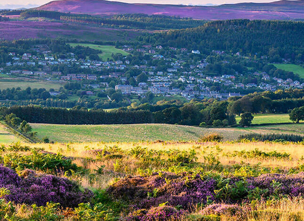 rothbury-subimage-1-646x816