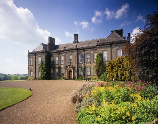 Discover Something New