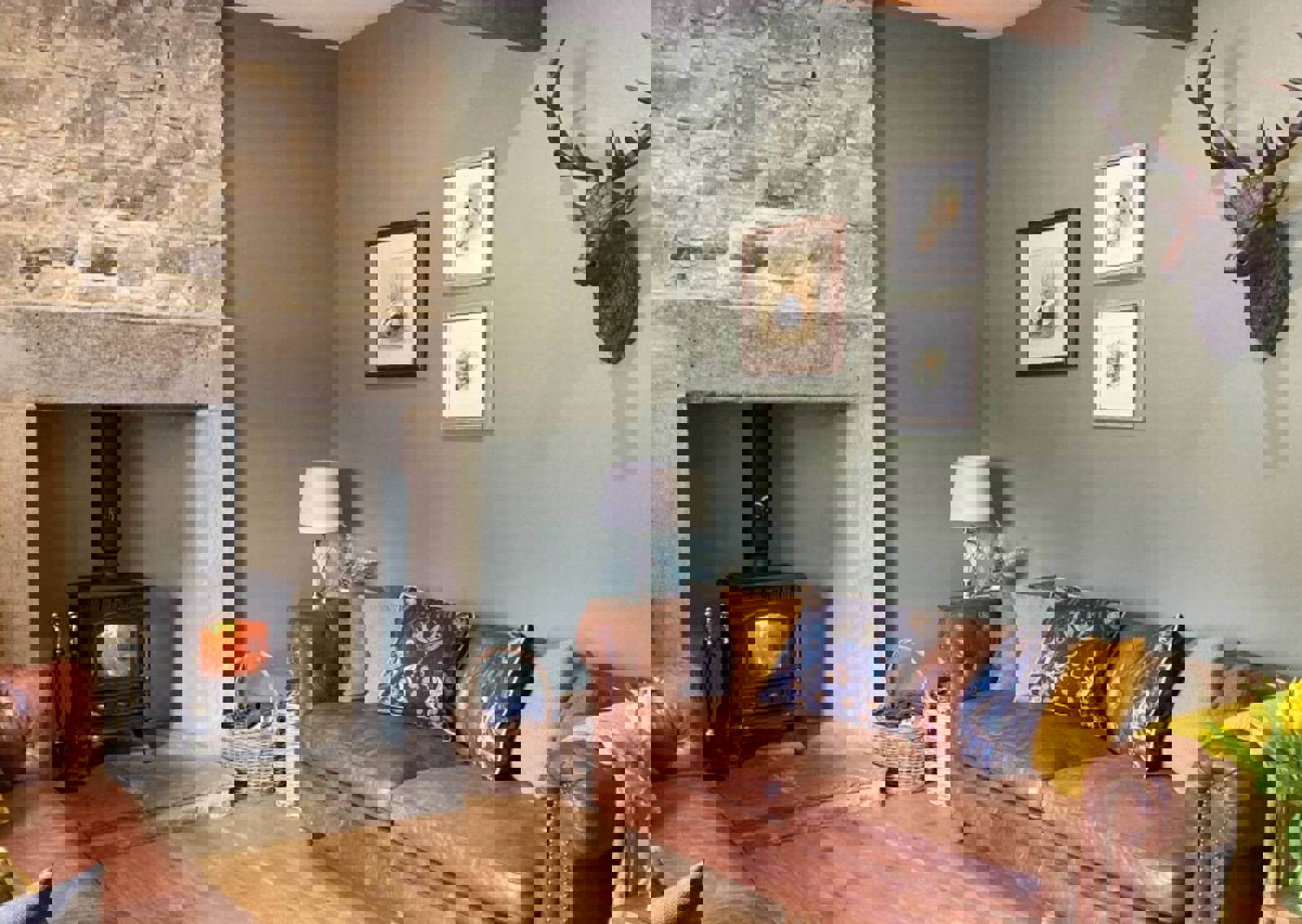CC5