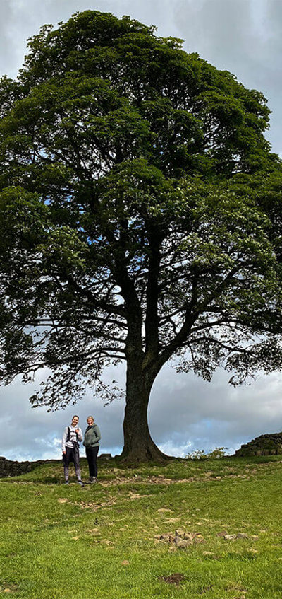 Sycamore-Gap-credit-@designmw