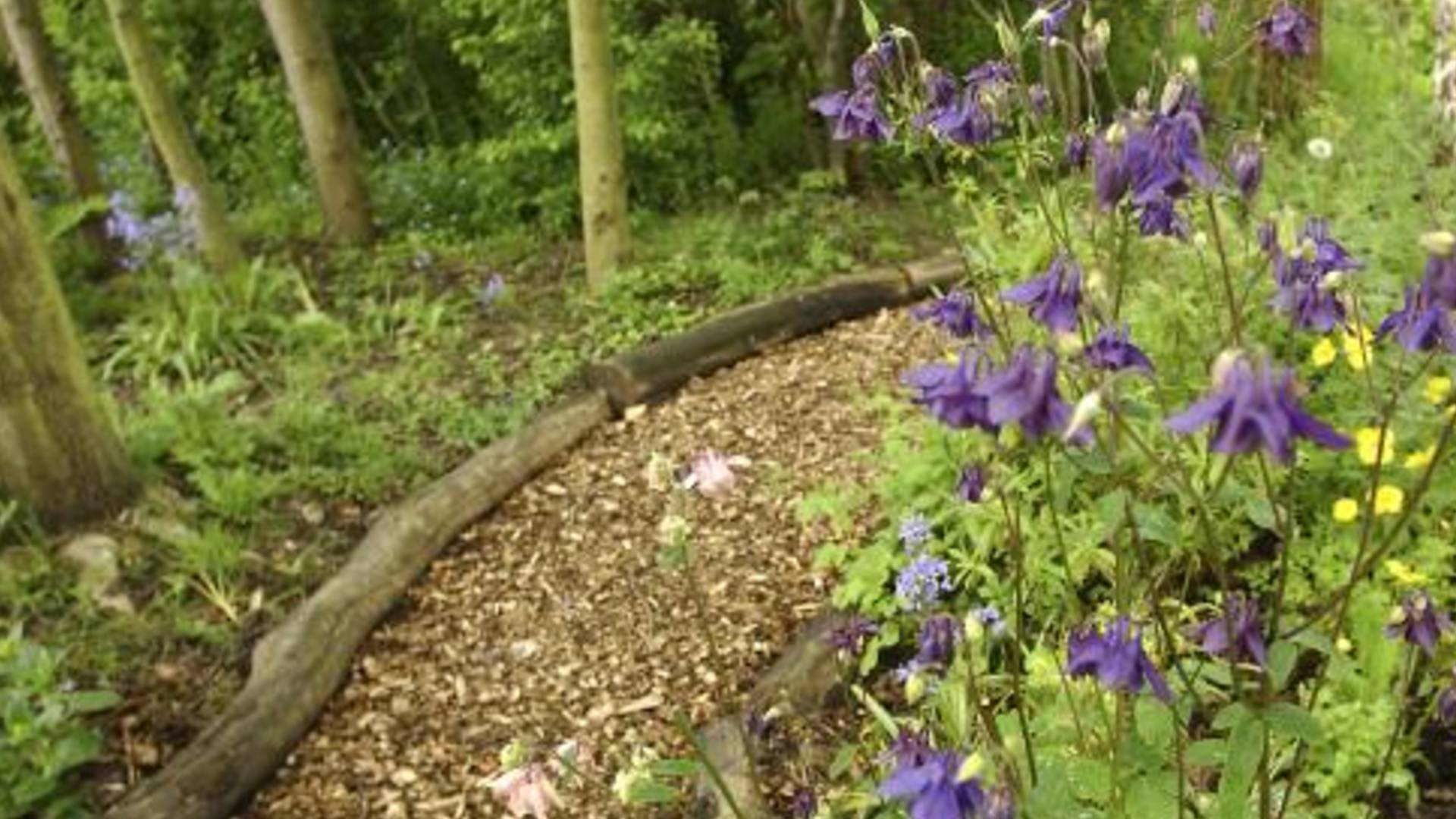 Weetslade Forage And Wander Credit @Jason Friend