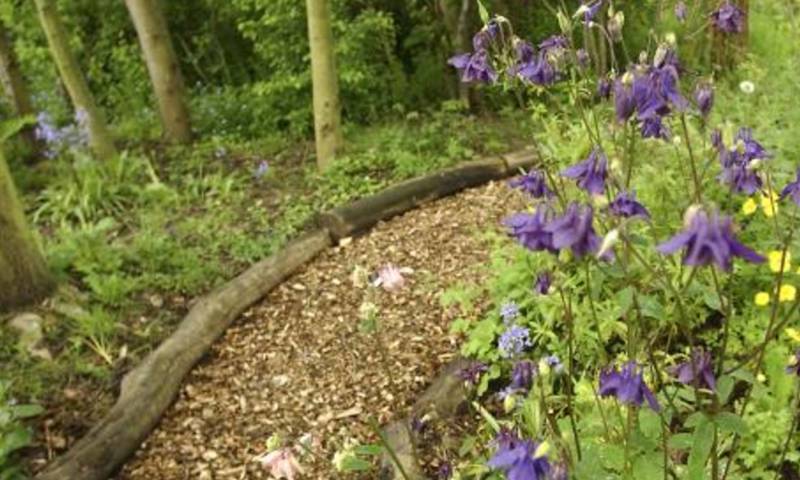 Weetslade Forage And Wander Credit @Jason Friend