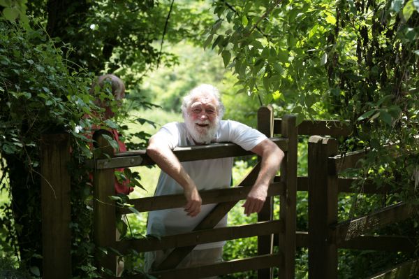 Green and golden jewel