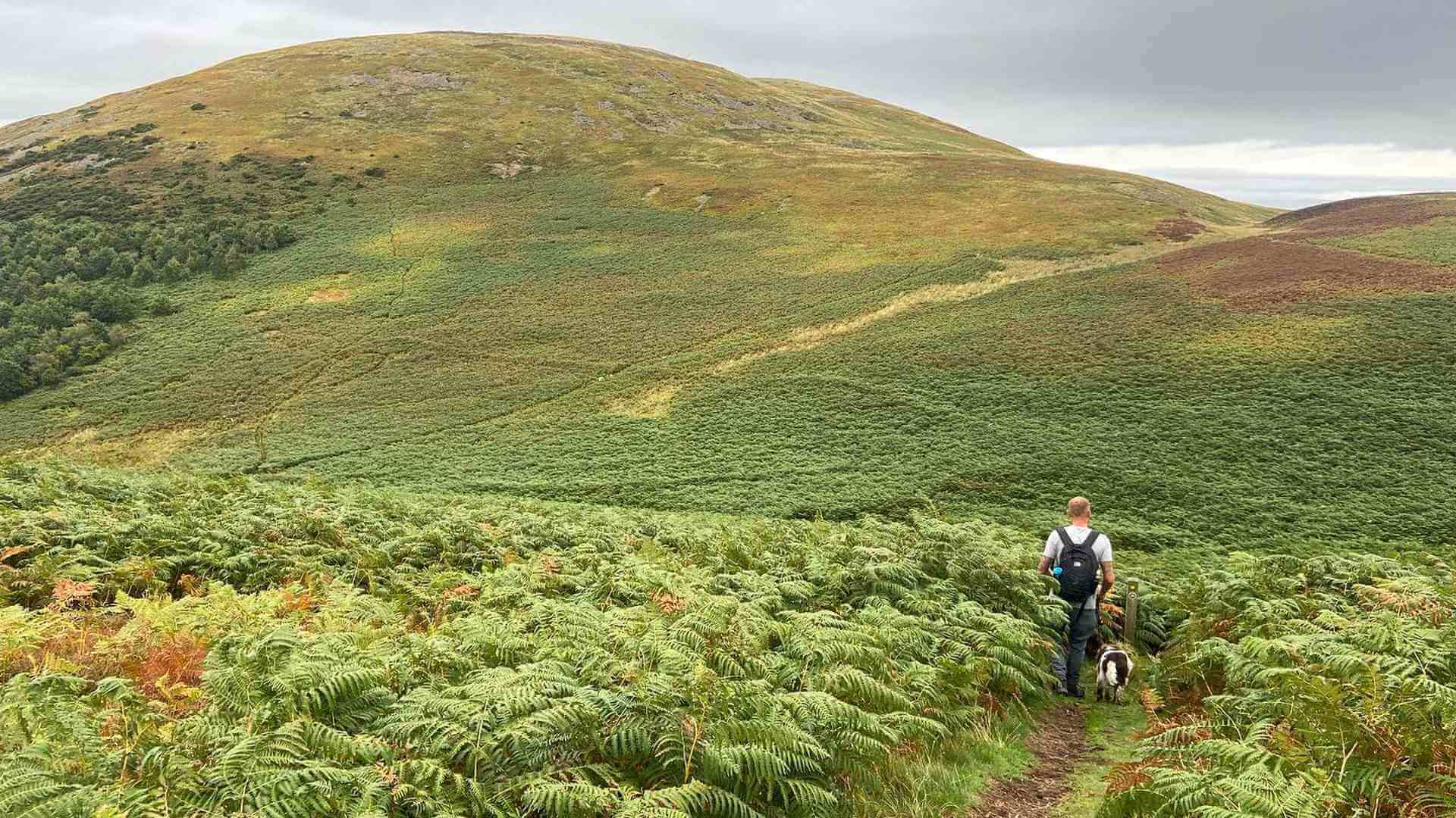 wooler-accommodation_crd_ATeiylishoutdoors