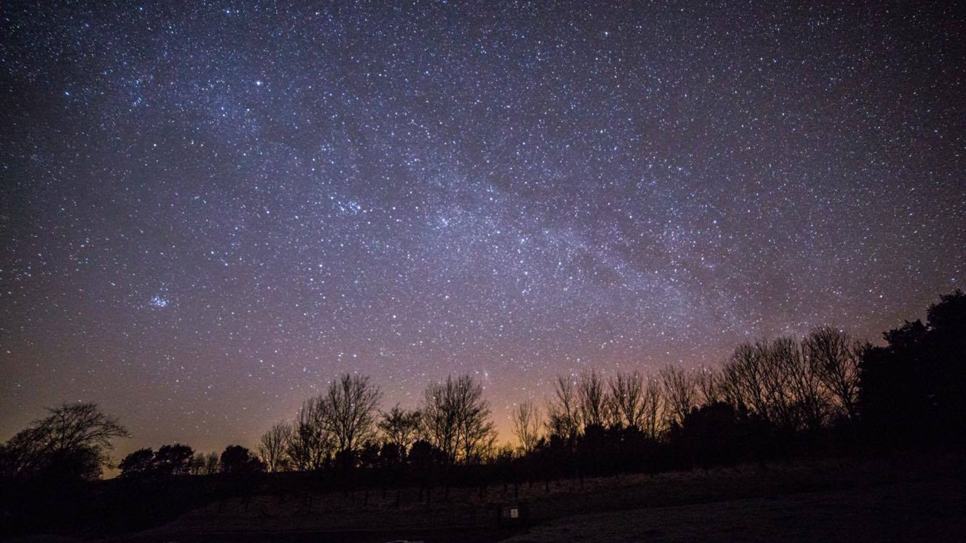 Dusk Walk And Beer Tasting