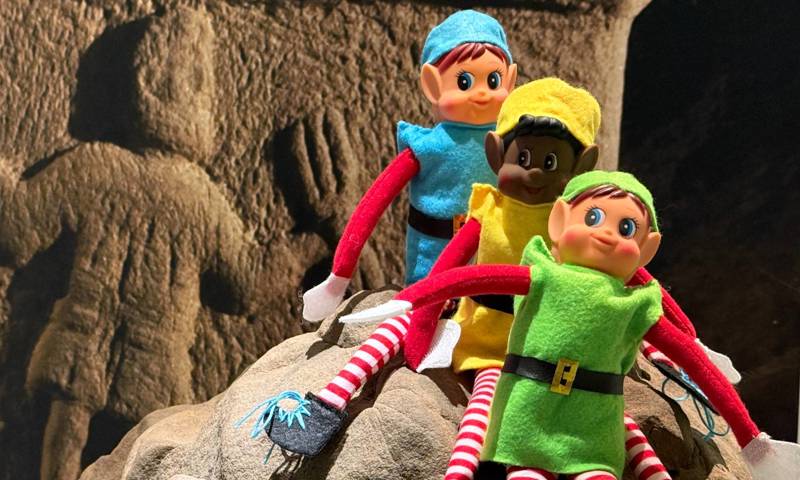 Vindolanda Lords Of Misrule