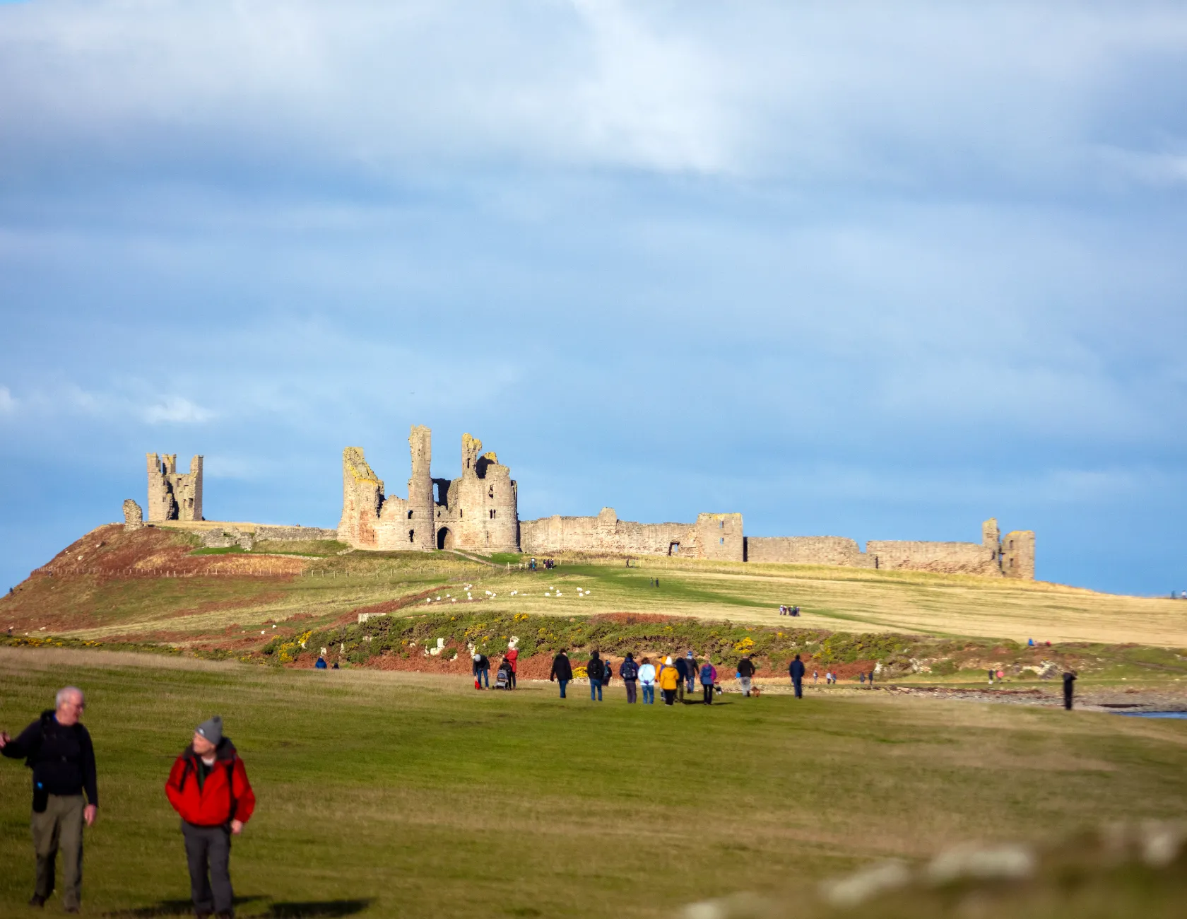 Group Attractions