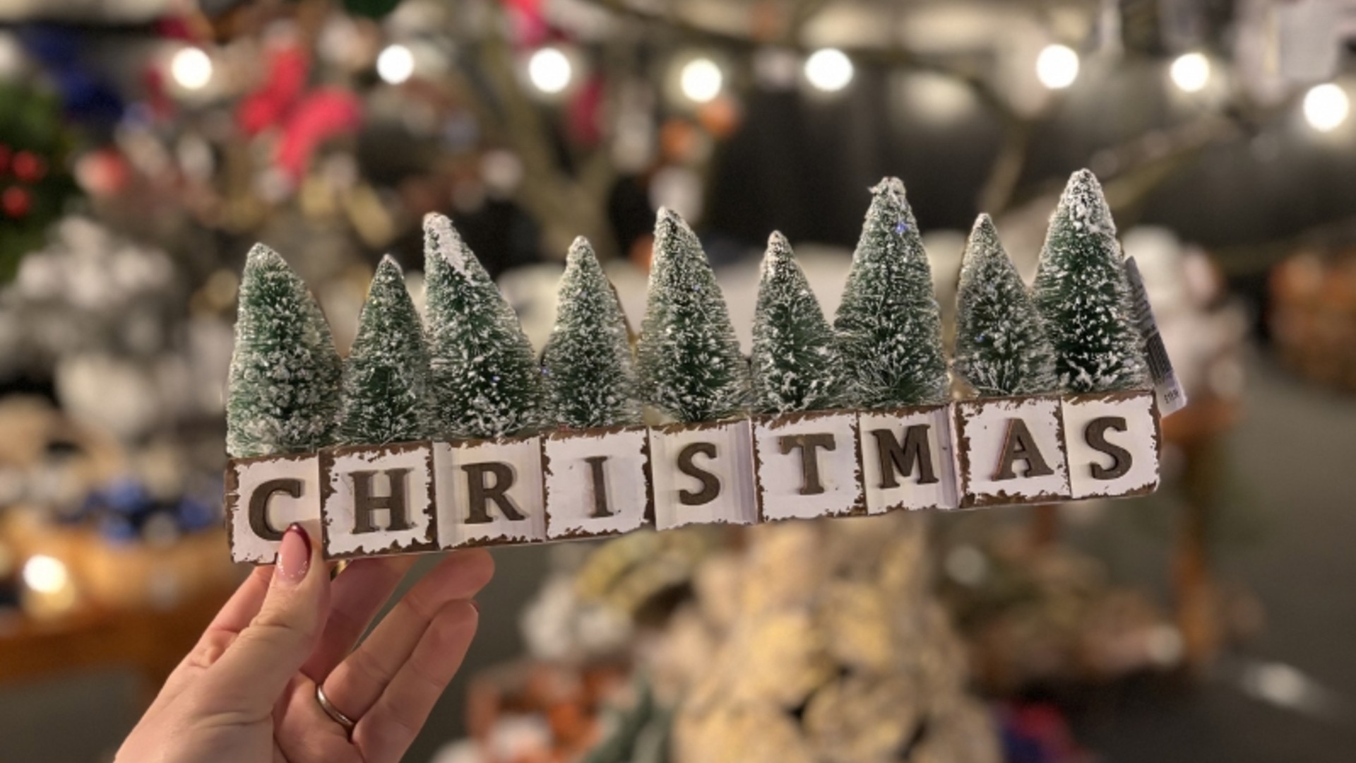 Brocksbushes Christmas Fayre 2