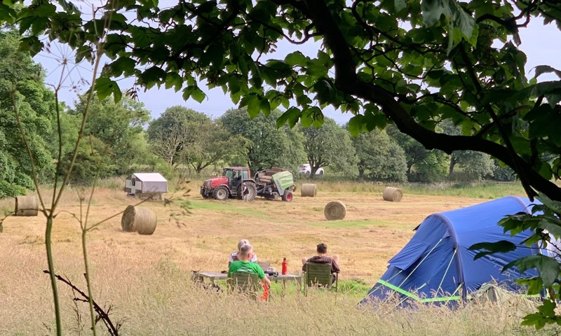 Budle Hall Camping