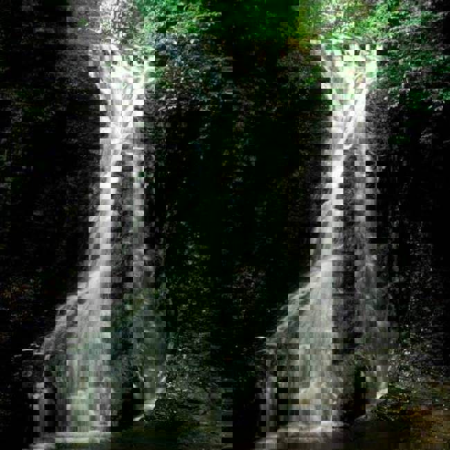 Hareshaw-Linn-Bellingham