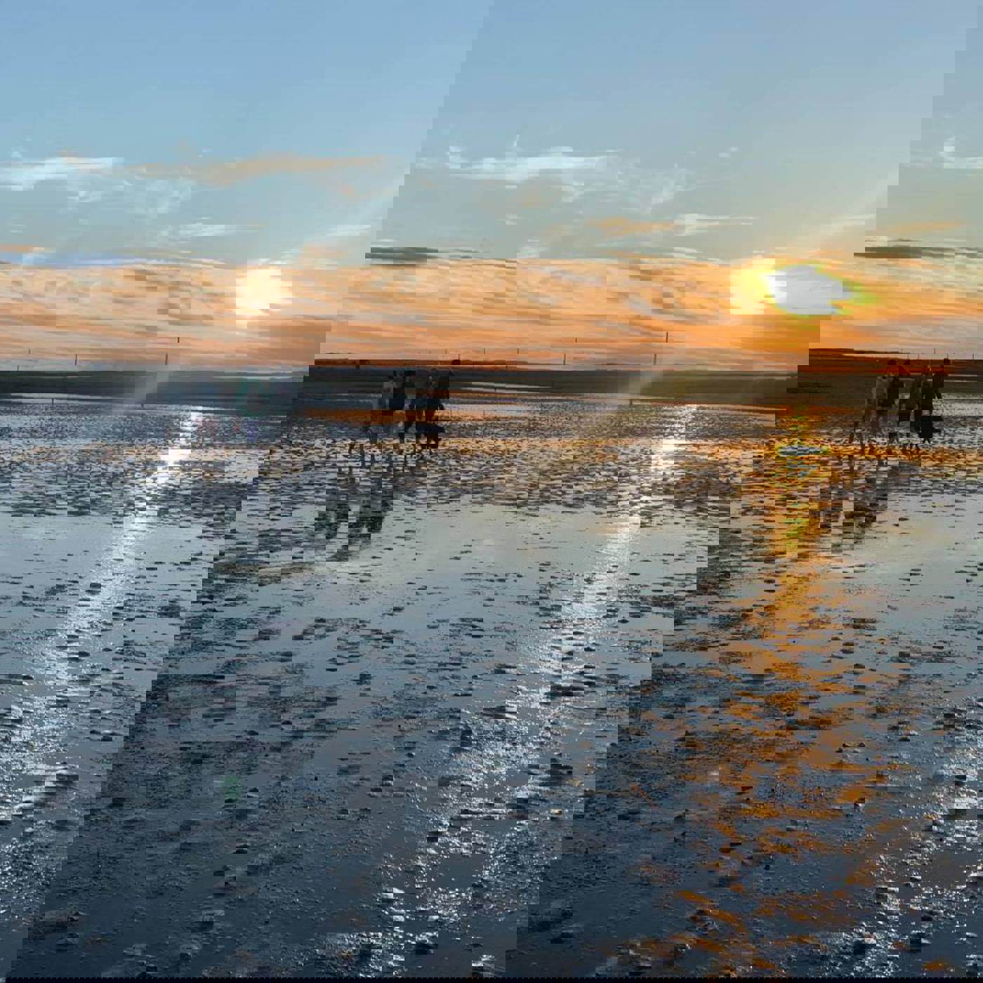 wild-experiences-holy-island