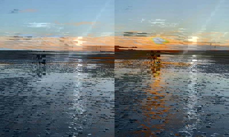 wild-experiences-holy-island