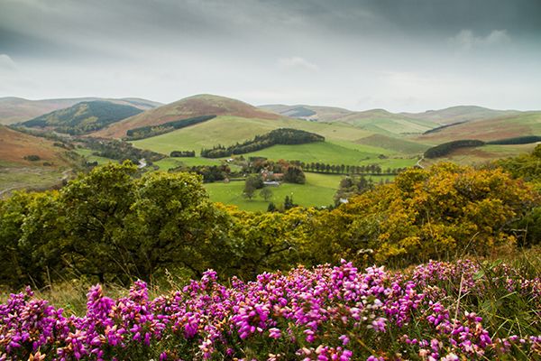 Local Tourism Association is celebrating the patch