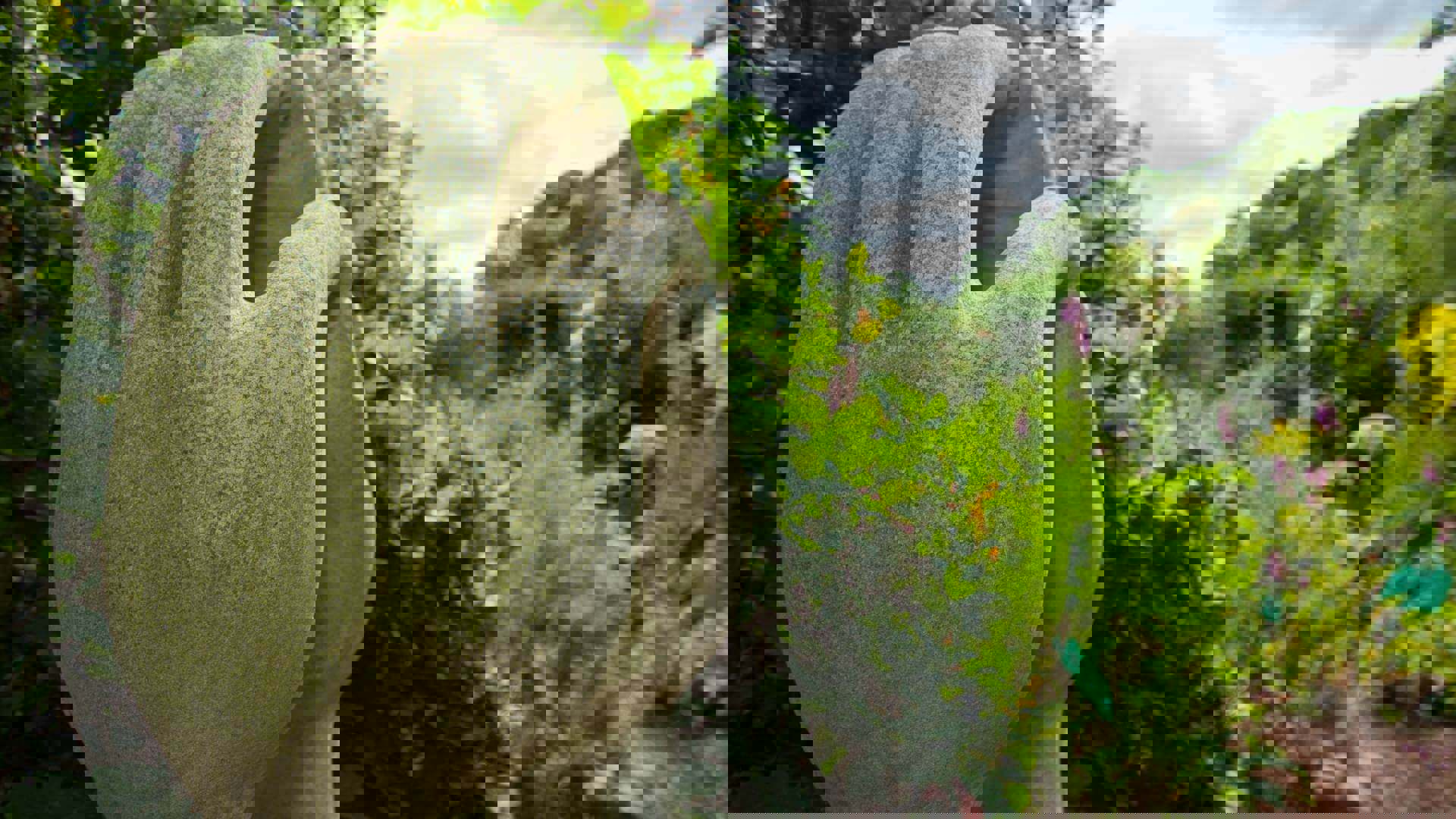 Dilston-Physic-Garden-Terence-Walsh