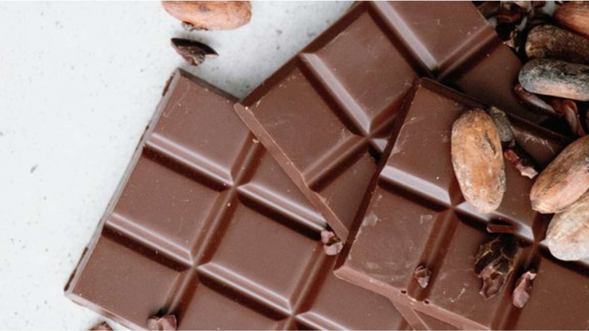 Chocolate Workshops Woodhorn