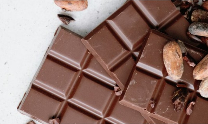 Chocolate Workshops Woodhorn