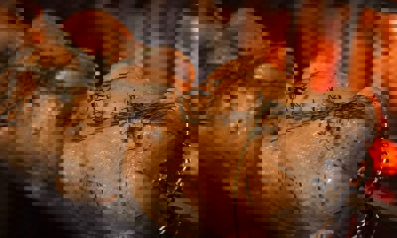 vn-large-Chickens-roasted-on-the-fire.jpg