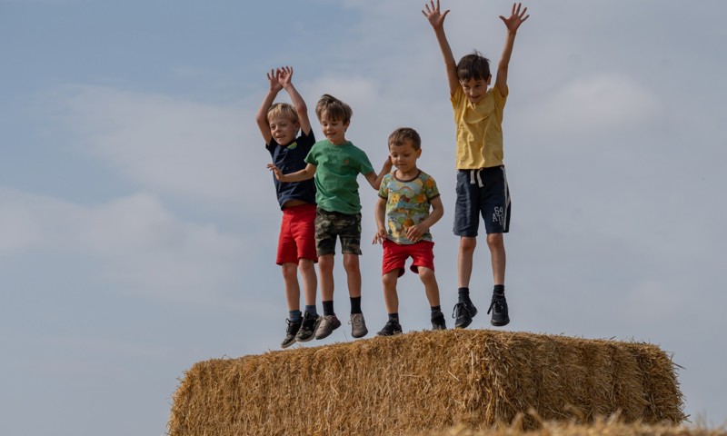 Summer Of Play Seaton Delaval Hall