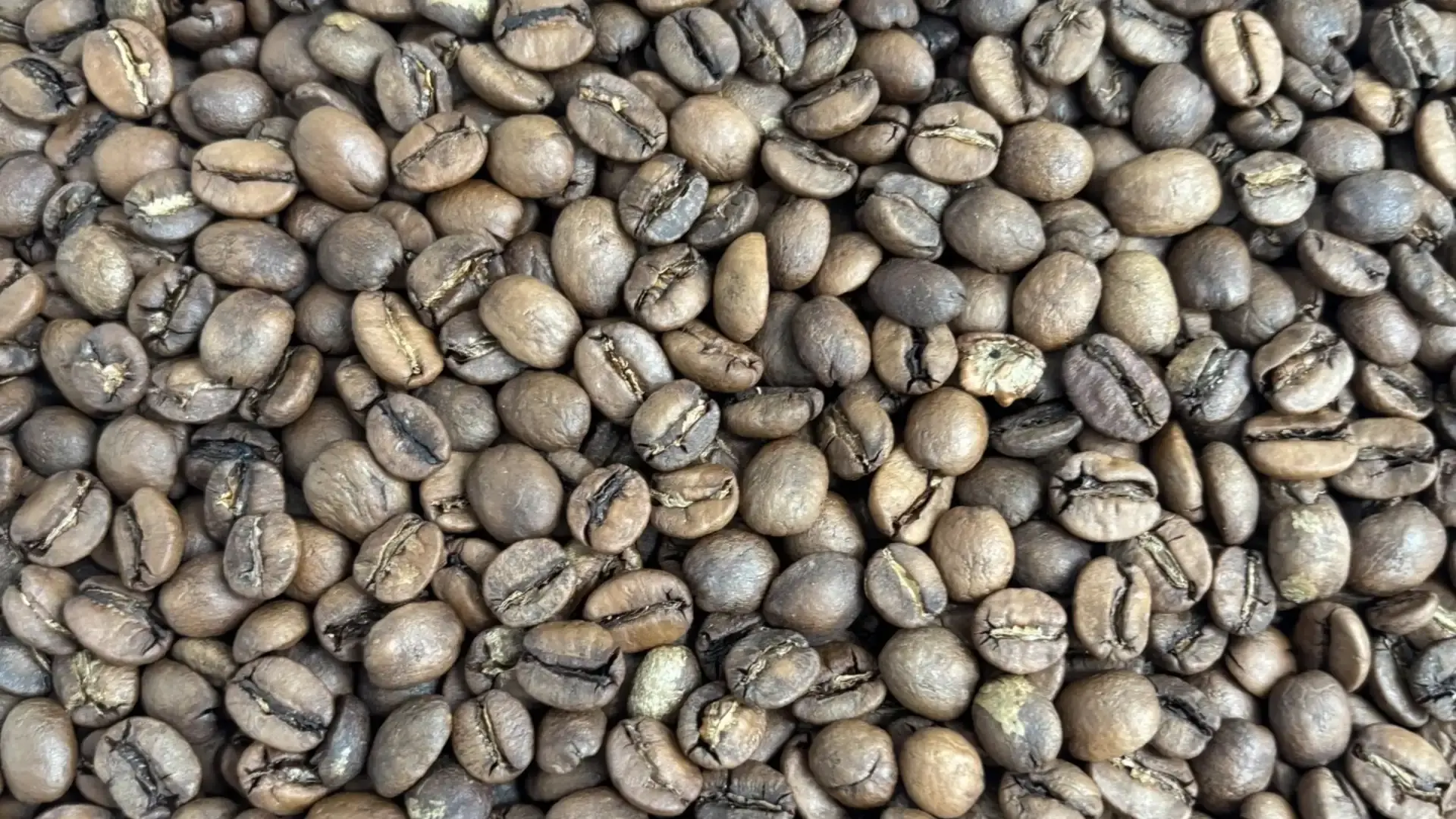 Mogul Coffee