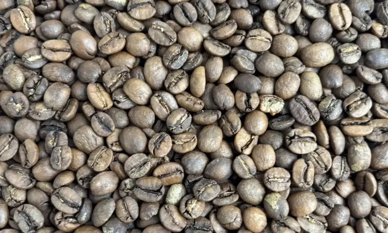 Mogul Coffee