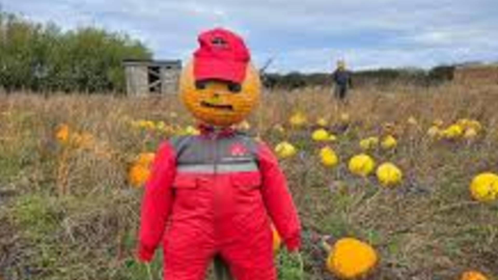 Oxford Farm Pumpkin Patch