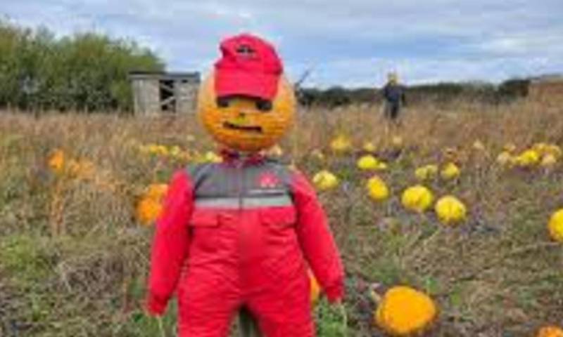 Oxford Farm Pumpkin Patch