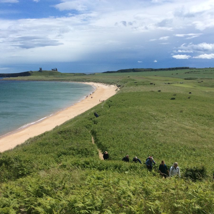 vn-large-Walking-over-Embleton-Dunes.jpg