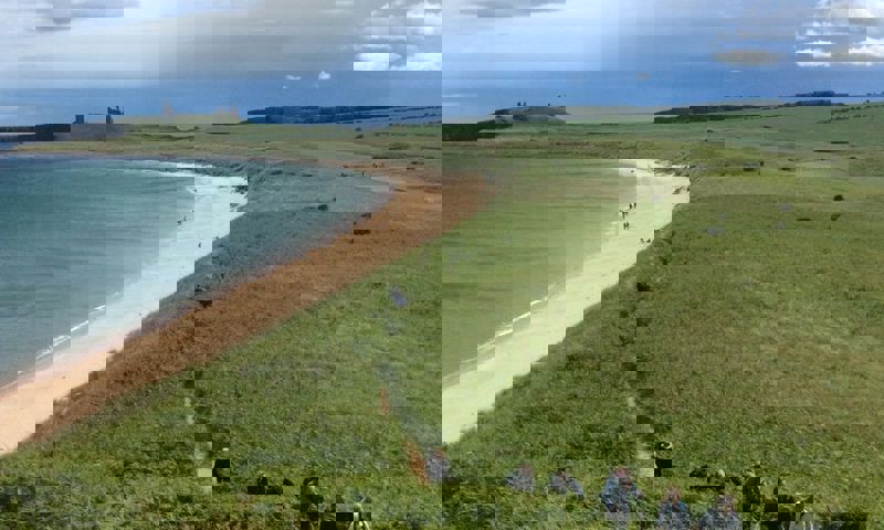 vn-large-Walking-over-Embleton-Dunes.jpg