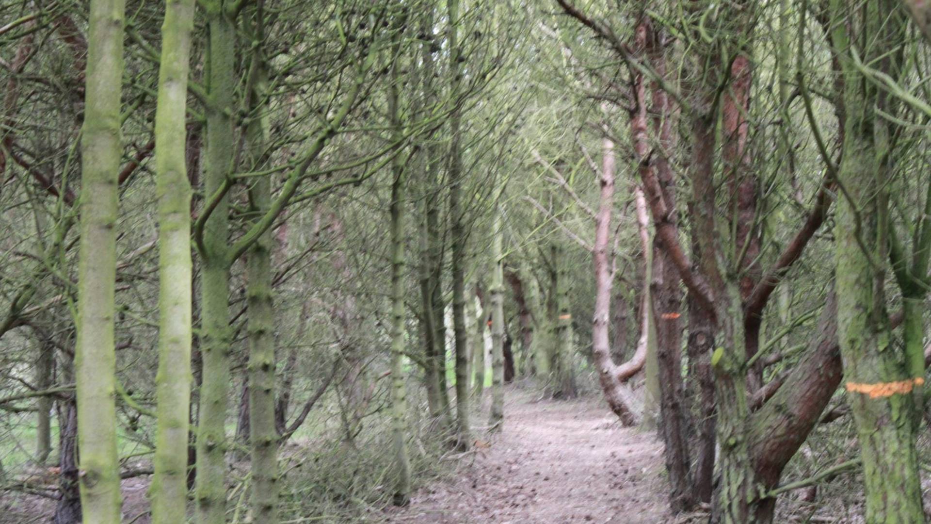 West Chevington Home Education @Richard Clark